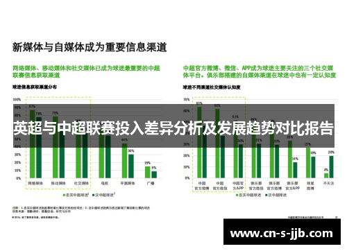 英超与中超联赛投入差异分析及发展趋势对比报告