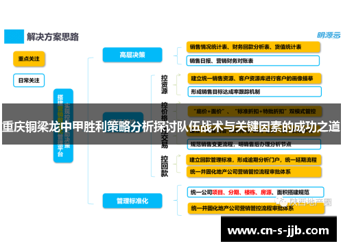 重庆铜梁龙中甲胜利策略分析探讨队伍战术与关键因素的成功之道