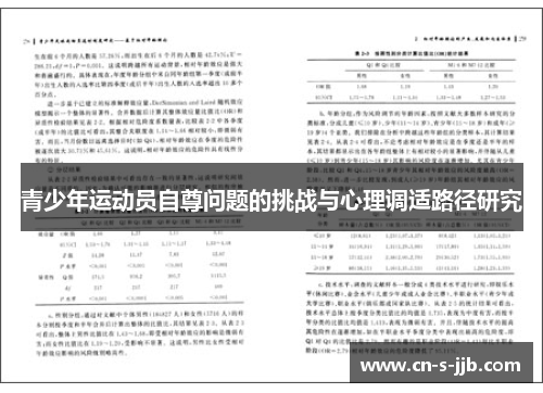 青少年运动员自尊问题的挑战与心理调适路径研究 青少年运动员自尊问题的挑战与心理调适路径研究