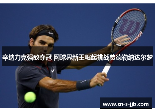 辛纳力克强敌夺冠 网球界新王崛起挑战费德勒纳达尔梦