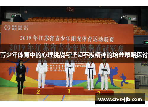 青少年体育中的心理挑战与坚韧不拔精神的培养策略探讨